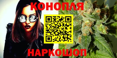гидра Будённовск