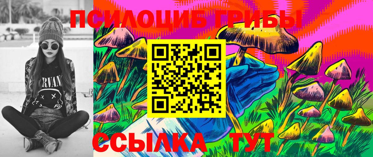 Псилоцибиновые грибы ЛСД Кудымкар